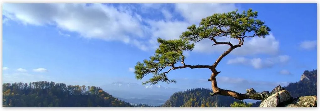 Fotótapéták 312x104 Tájképek Kilátások Tájképek