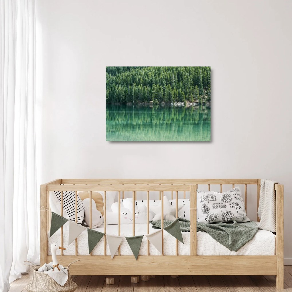 Kép - Tűlevelű a tónál (üvegen) (70x50 cm)