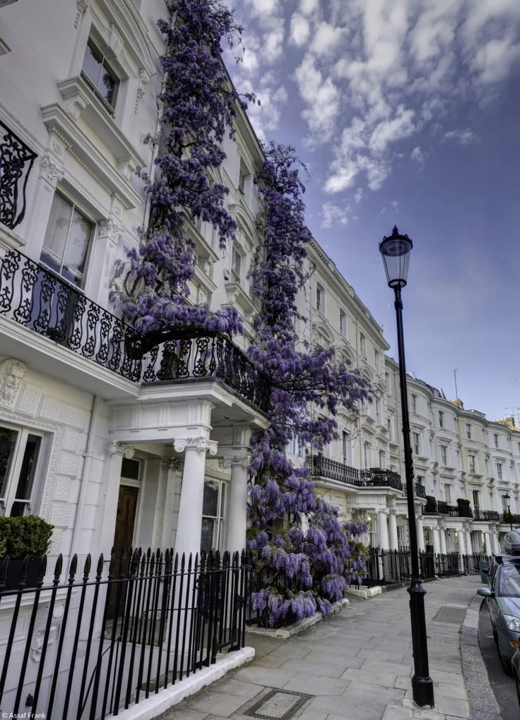 Poszter 20,5x28,4cm Ház a Portobello úton, Assaf Frank