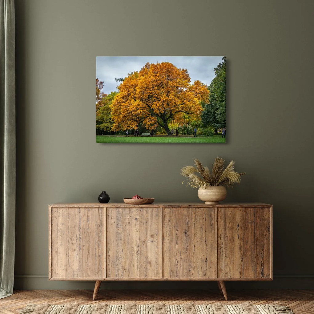 Fa képe (90x60 cm)