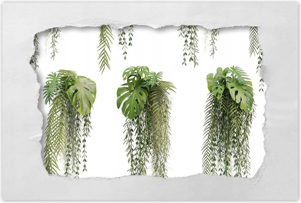 Poszterek 120x80 Monstera Lyukas levelek