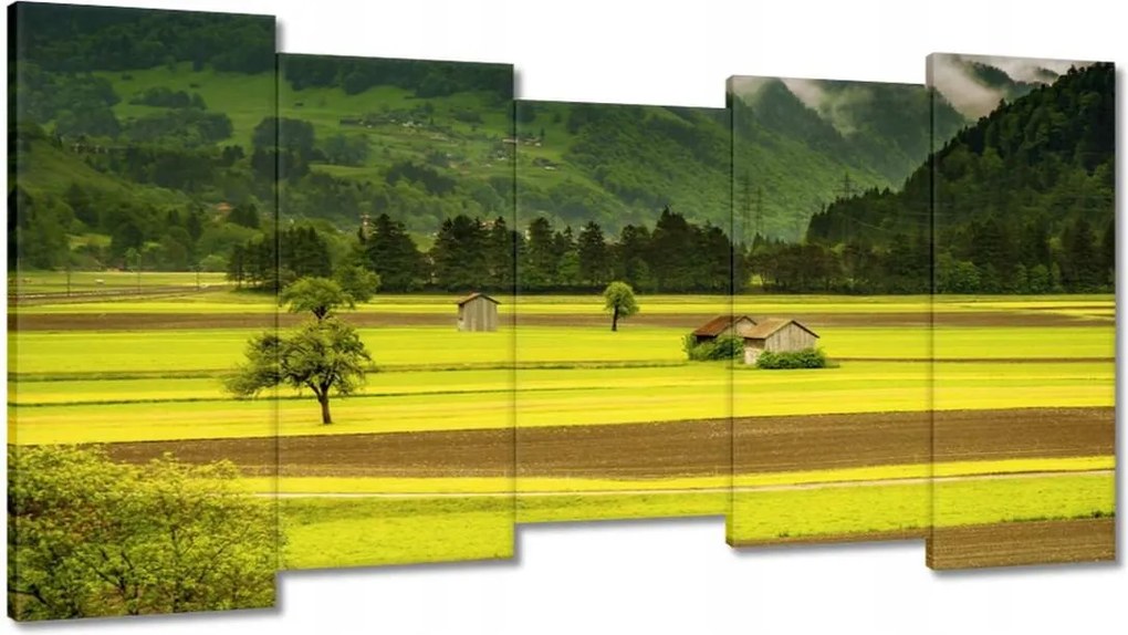 Vászonkép 150x80 Zöld őzek