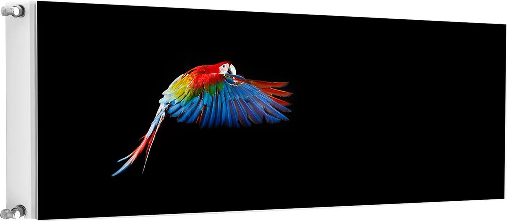 Mágneses Radiátorszőnyeg 160x60 Papagáj Fotótapéta