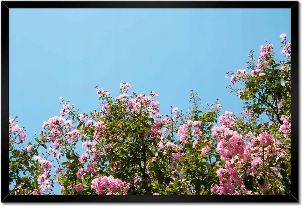 Poszterek keretben 60x40 Virágok