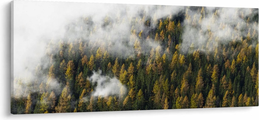 Egy erdő képe a felhők között (120x50 cm)
