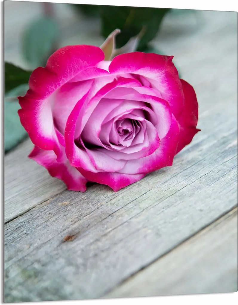 Üveg Vágódeszka 40x52 Rózsa a Konyhába