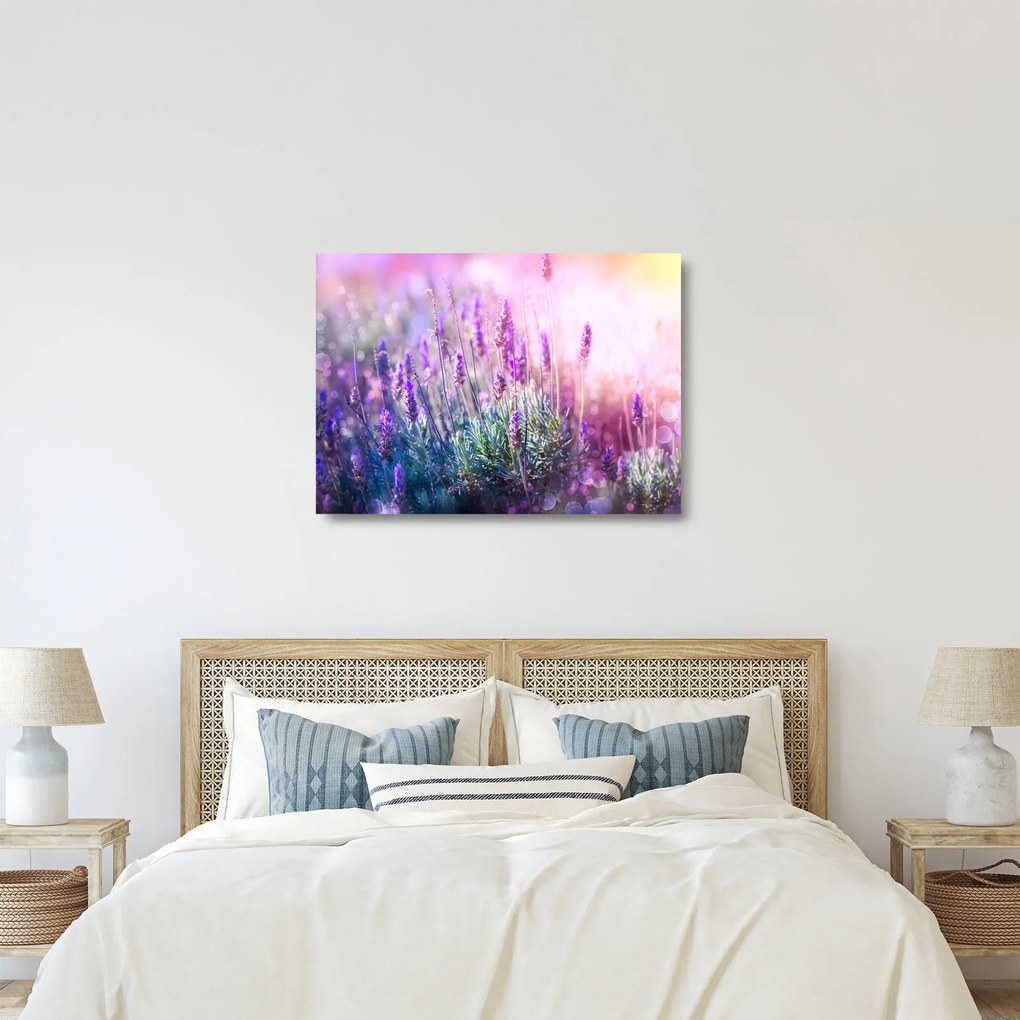 Kép - Levendula a csillogó napban (üvegen) (70x50 cm)