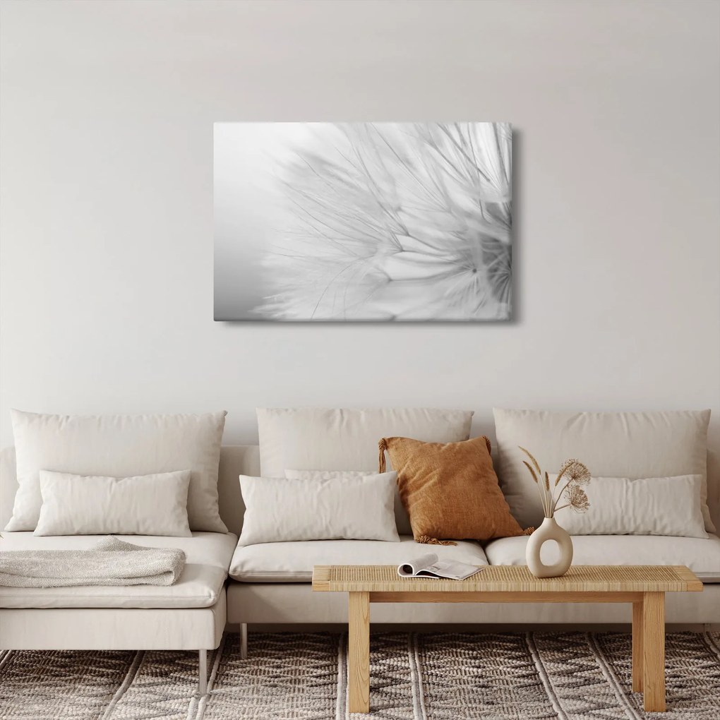 Kép - Pitypang (90x60 cm)