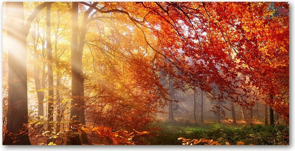 Fotó vászonkép edzett üveg Őszi erdő 140x70