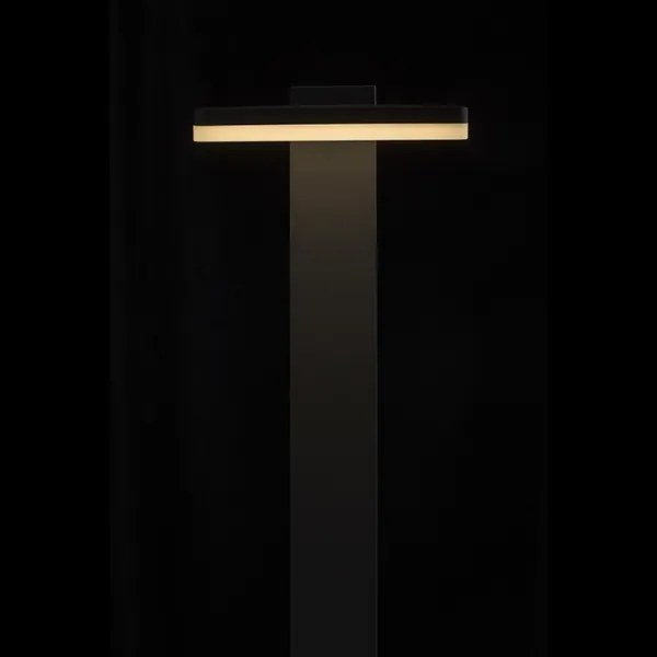 RED - Design Rendl - R12515 - LED Kültéri lámpa RINA LED/12W/230V IP44