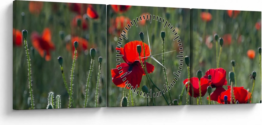 Kép - Rét mák virággal (órával) (90x30 cm)