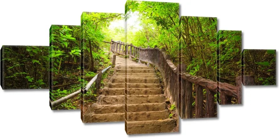 Vászonkép 200x100 Lépcsők az erdőbe