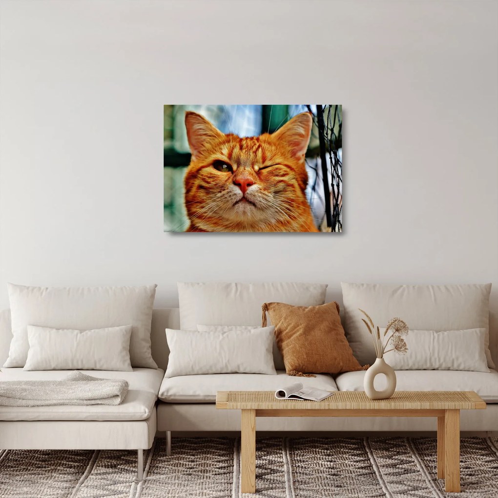 Egy pislogó macska képe (üvegen) (70x50 cm)