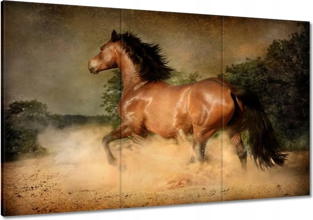 Vászonkép 120x80 Ló Lovak Lovaglás