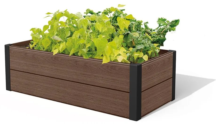 Magaságyás Maple – Keter