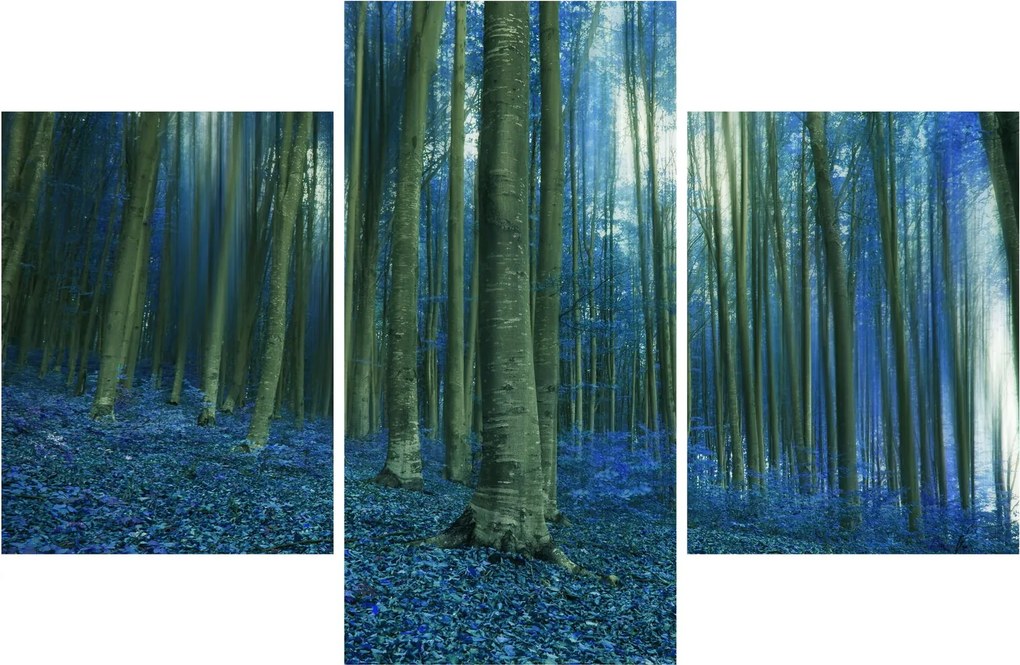 Kép - Kék erdő (90x60 cm)
