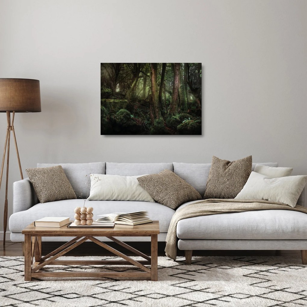 Kép - Titokzatos erdő (üvegen) (70x50 cm)