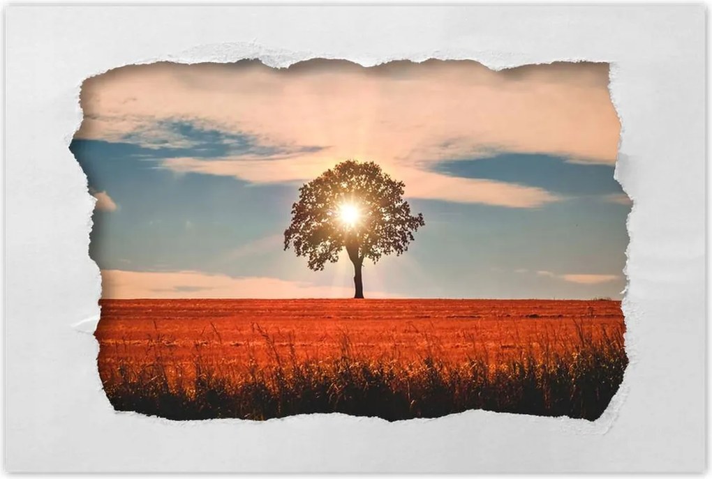 Poszterek 120x80 Kilátás Tájkép