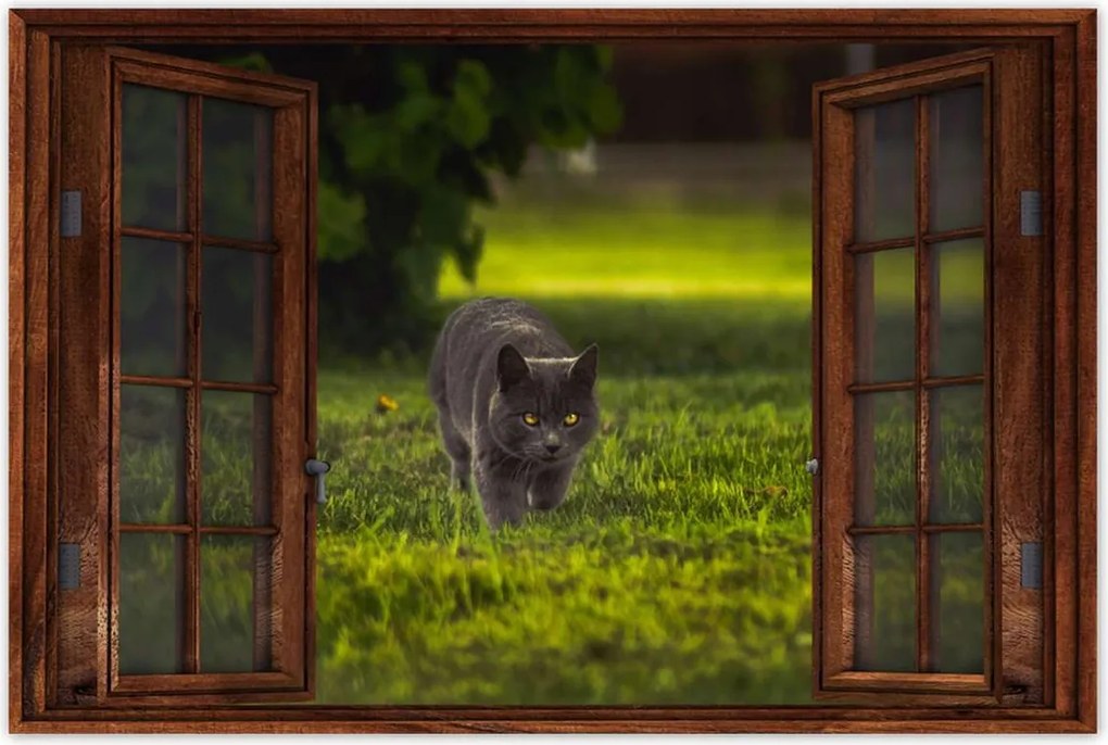 Poszterek 90x60 Cica Cicák