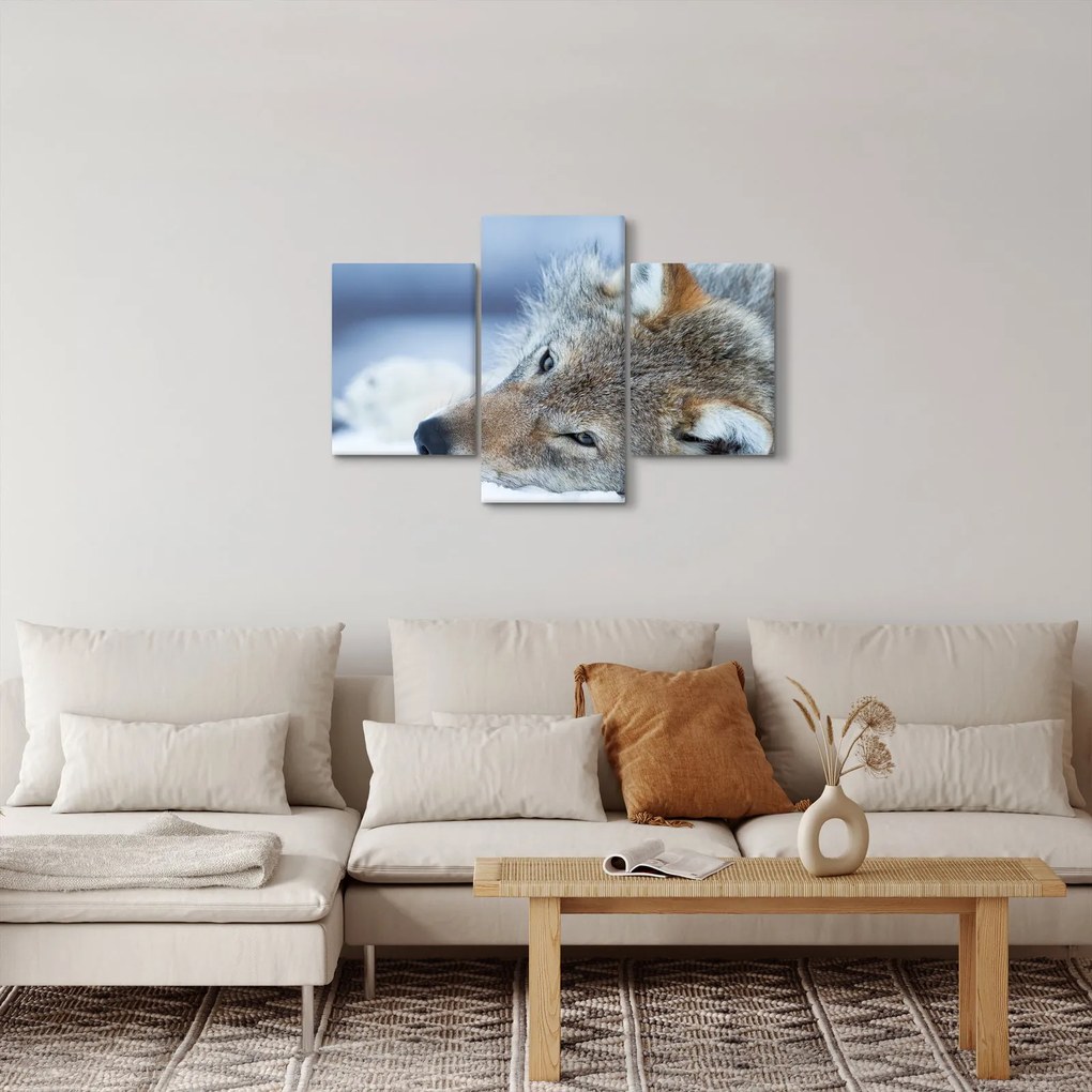 Kép - Farkas (90x60 cm)