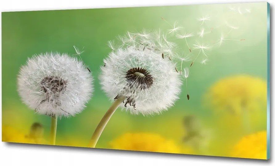 Fotó kép edzett üveg Magnolia 100x70