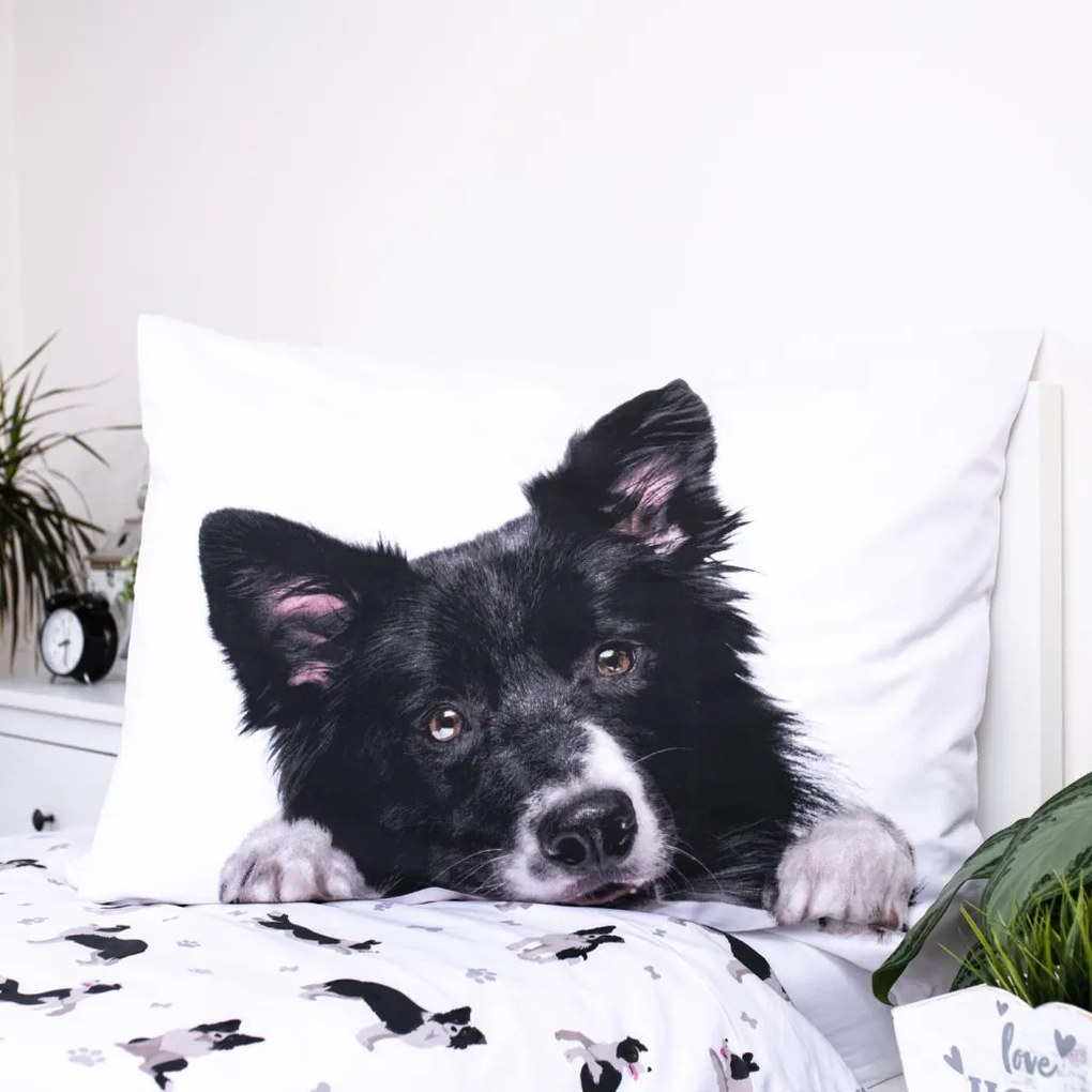 Kutyás Border Collie ágyneműhuzat 140×200cm, 70×90 cm