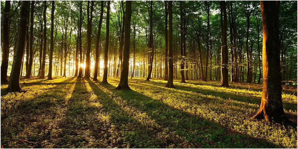 Fotó üvegkép Nap sugarai 140x70