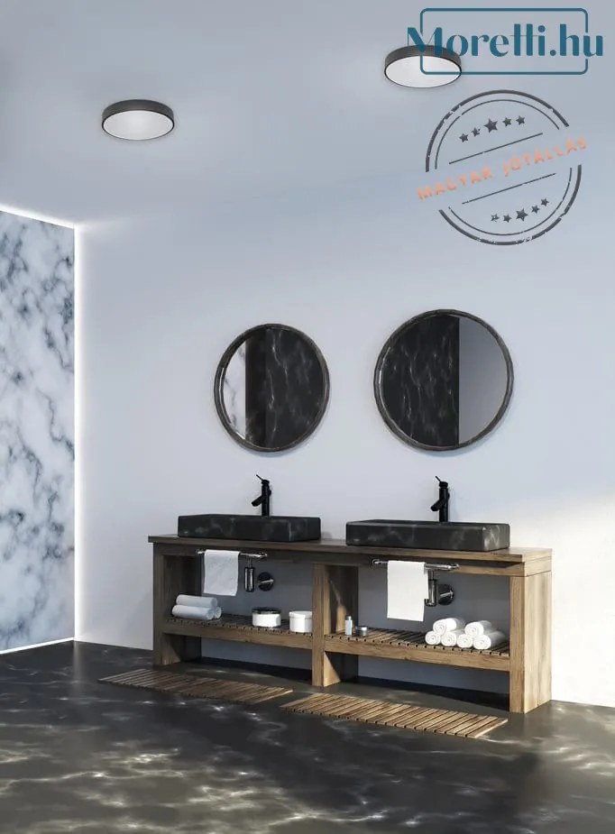 Fürdőszoba Mennyezeti Lámpa Fekete ROUNDY MAXLIGHT C0214