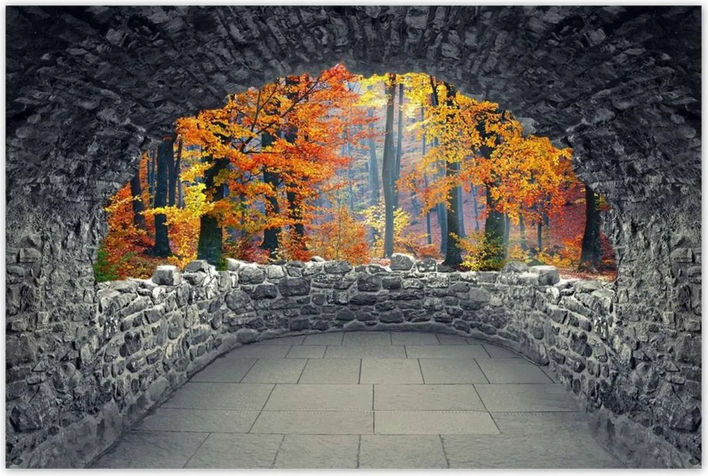 Poszterek 60x40 Arany ősz