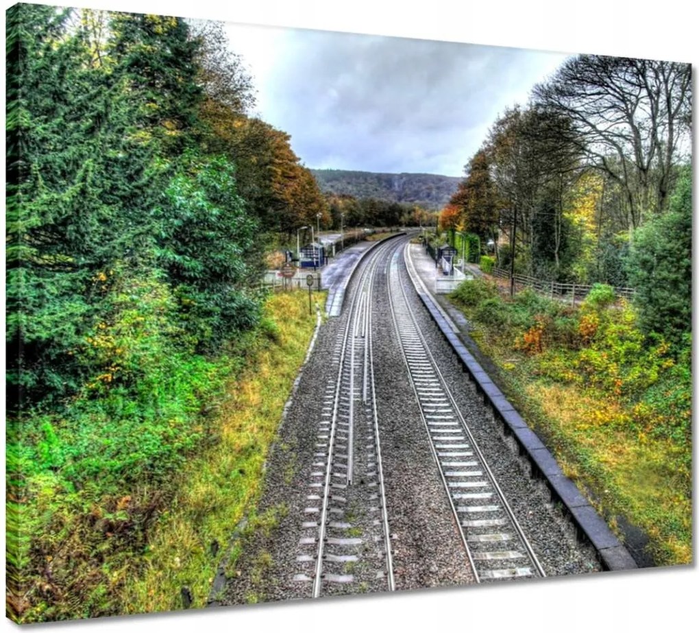 Vászonkép 50x40 Pálya