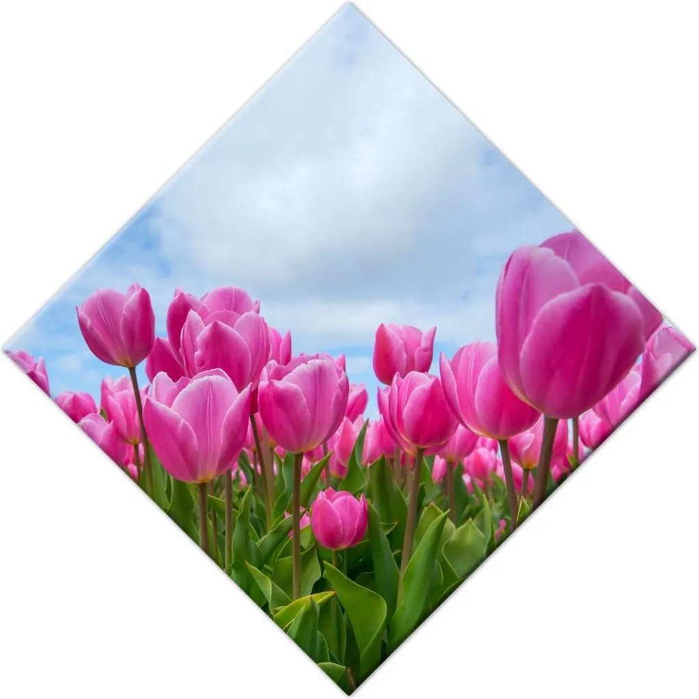 Vászonkép 28x28 Tulipánok Valentin napra