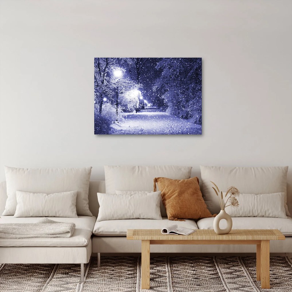 Kép - varázslatos téli éjszaka (70x50 cm)