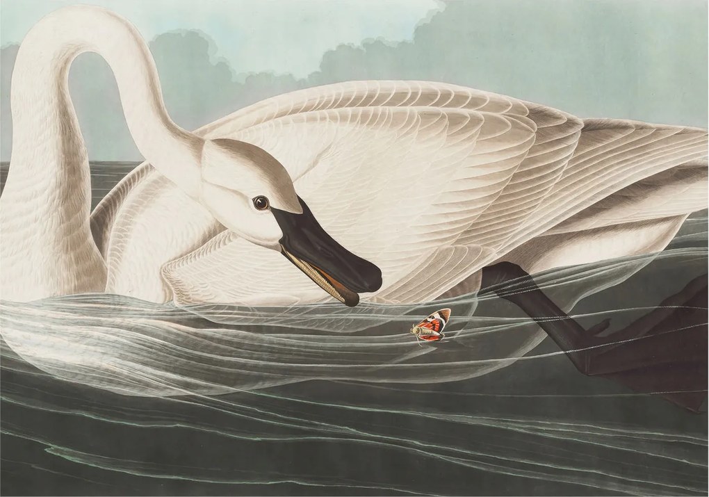 Fali fotótapéta Étkezőbe A természet harmóniája 312x219 Ragasztó