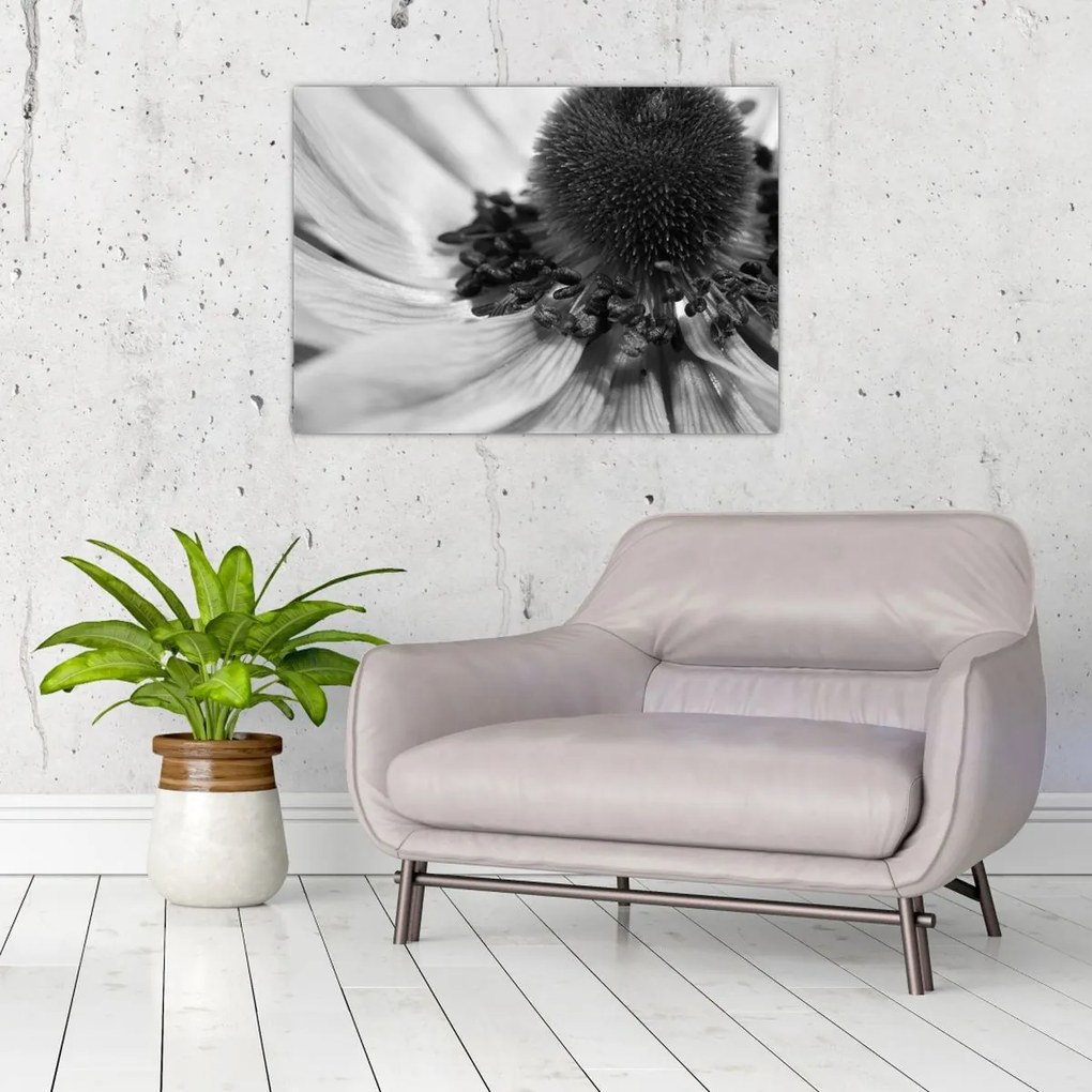 Üveg kép - Virág fekete-fehérben (70x50 cm)