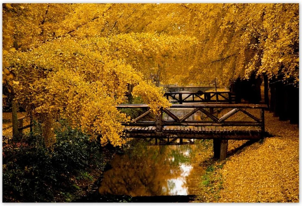 Poszterek 200x135 Tájkép Látvány