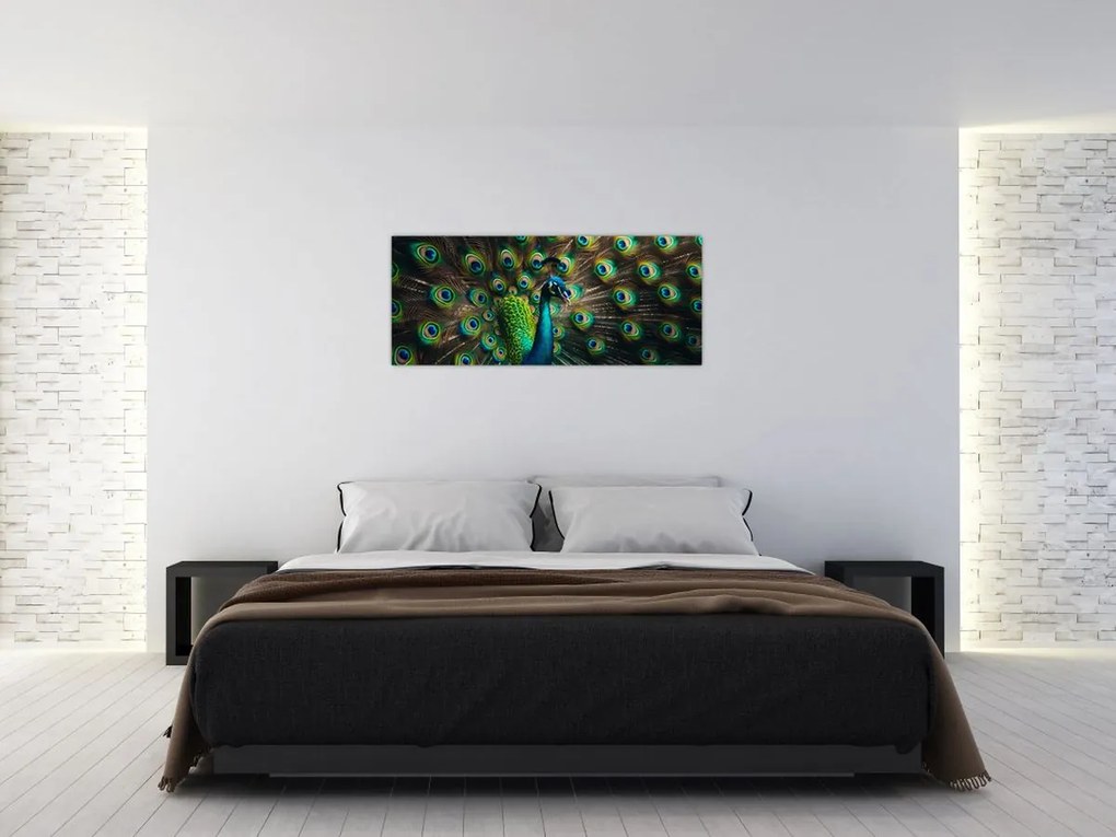 Kép – Pávatoll (120x50 cm)