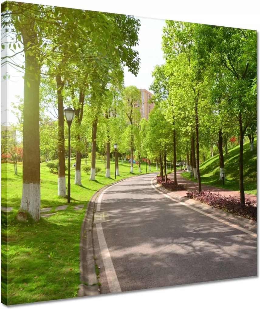 Vászonkép 40x40 Ösvény a parkban természet