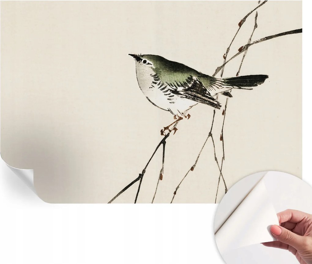 Design fali fotótapéta Öntapadós Harmonikus madár 104x70 cm