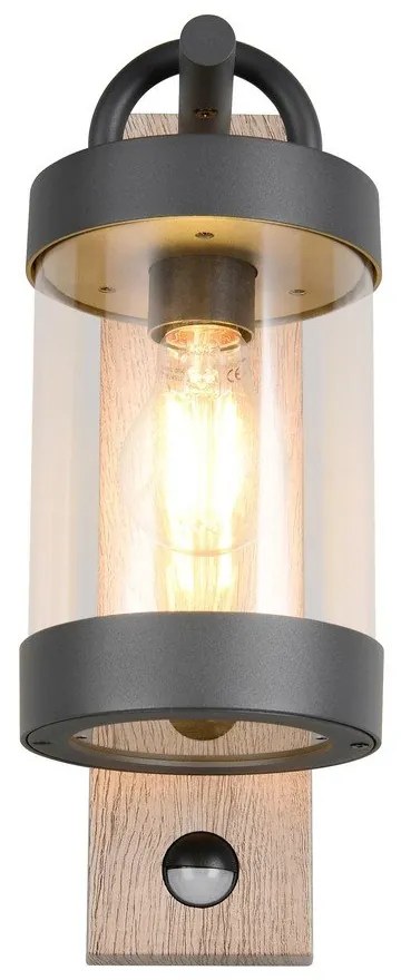 Fali kültéri lámpa (magasság 33 cm) Sambesi – Trio