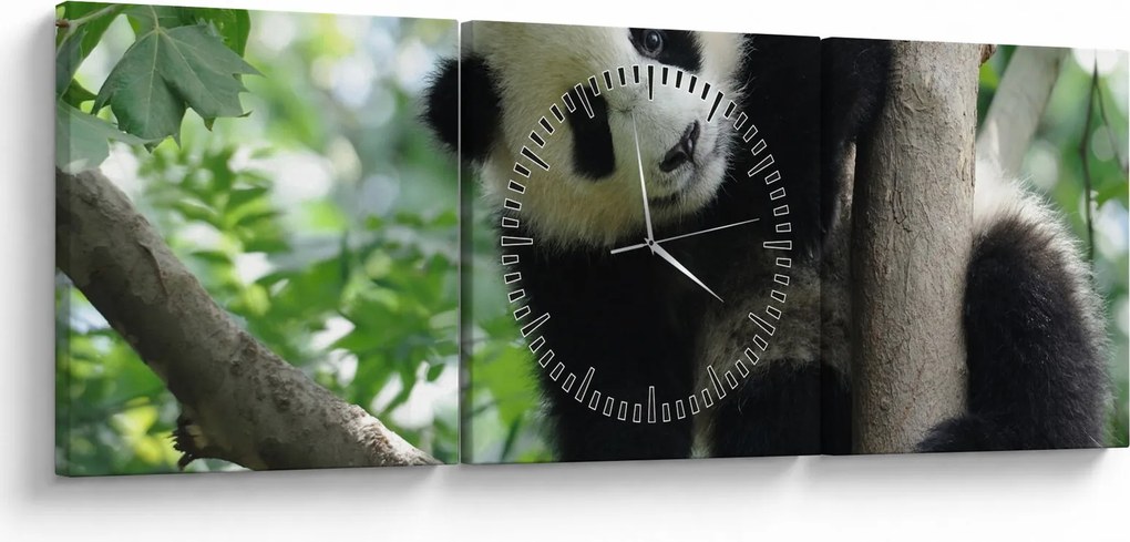 Kép - Panda a fán (órával) (90x30 cm)