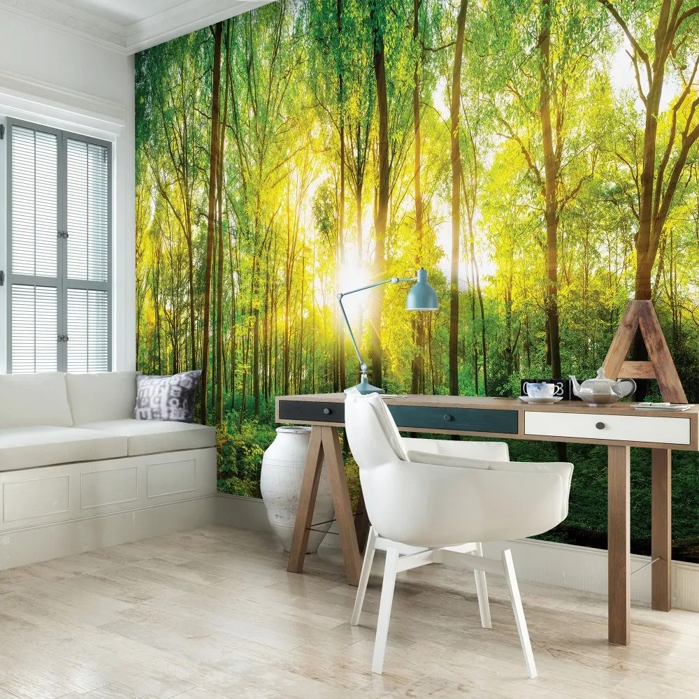 Napsütötte erdő poszter, fotótapéta, Vlies (150 x 105 cm)