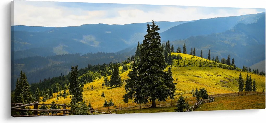 Kép - Hegyi rét (120x50 cm)