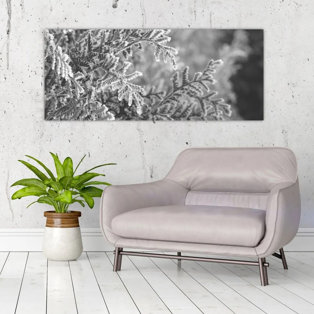 Kép - Lucfenyő erdő (120x50 cm)