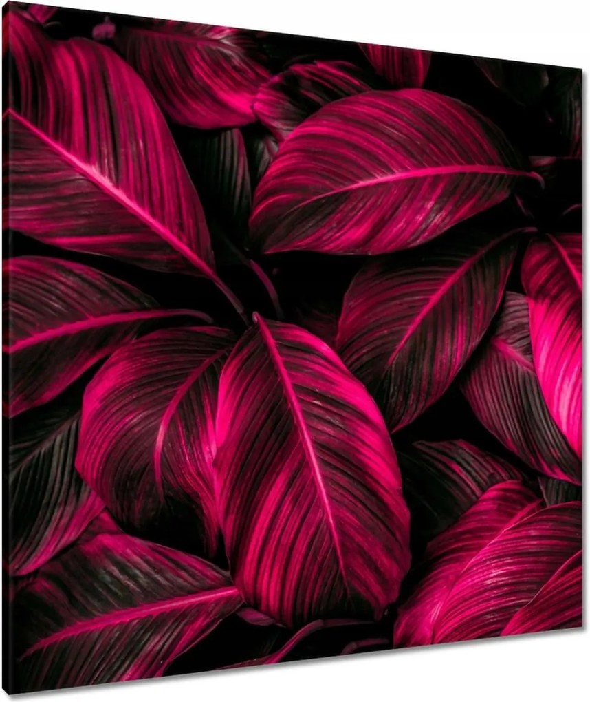 Vászonkép 80x80 Rózsaszín levelek