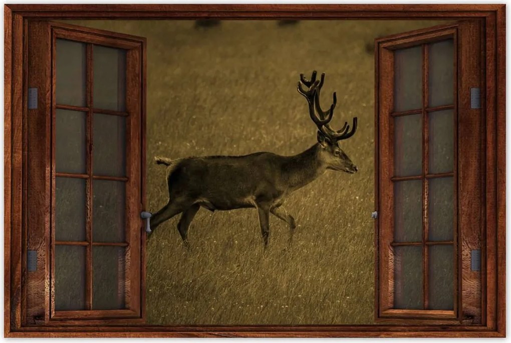 Poszterek 60x40 Szarvas