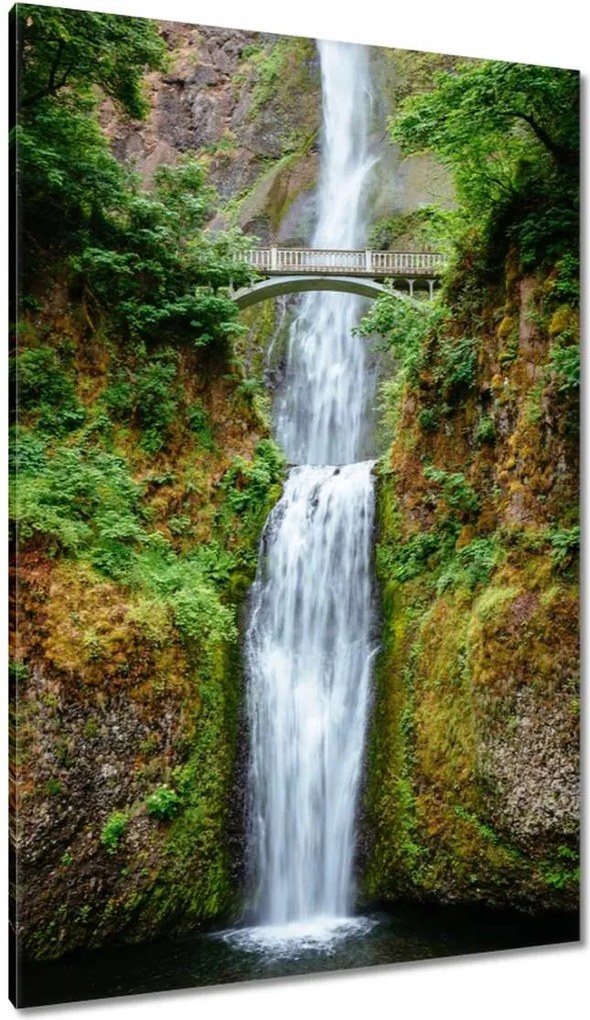 Vászonkép 80x120 Trópusi vízesés Hegyek