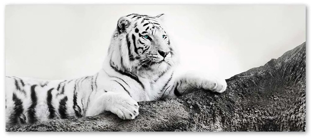 Gario Vászonkép Figyelo tigris Méret: 120 x 40 cm