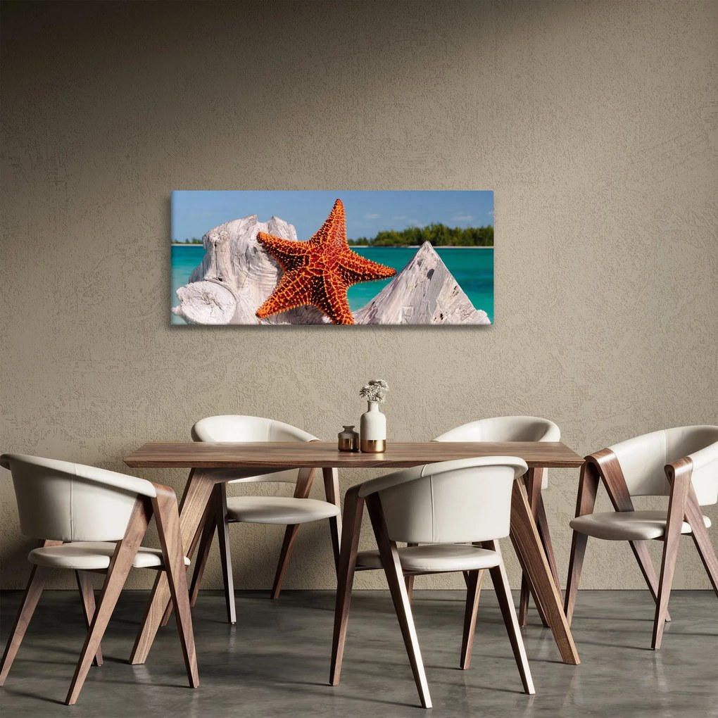 Egy tengeri csillag képe (120x50 cm)