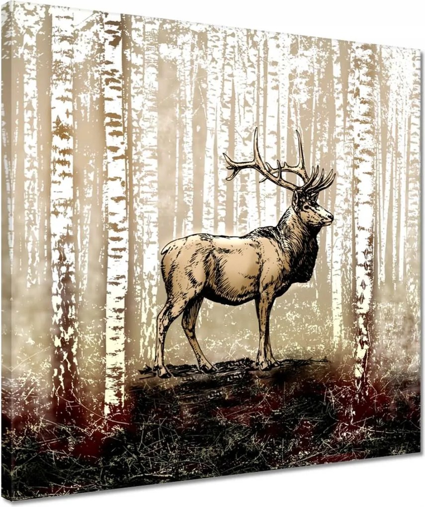 Vászonkép 40x40 Szarvas Nyírfa Erdő