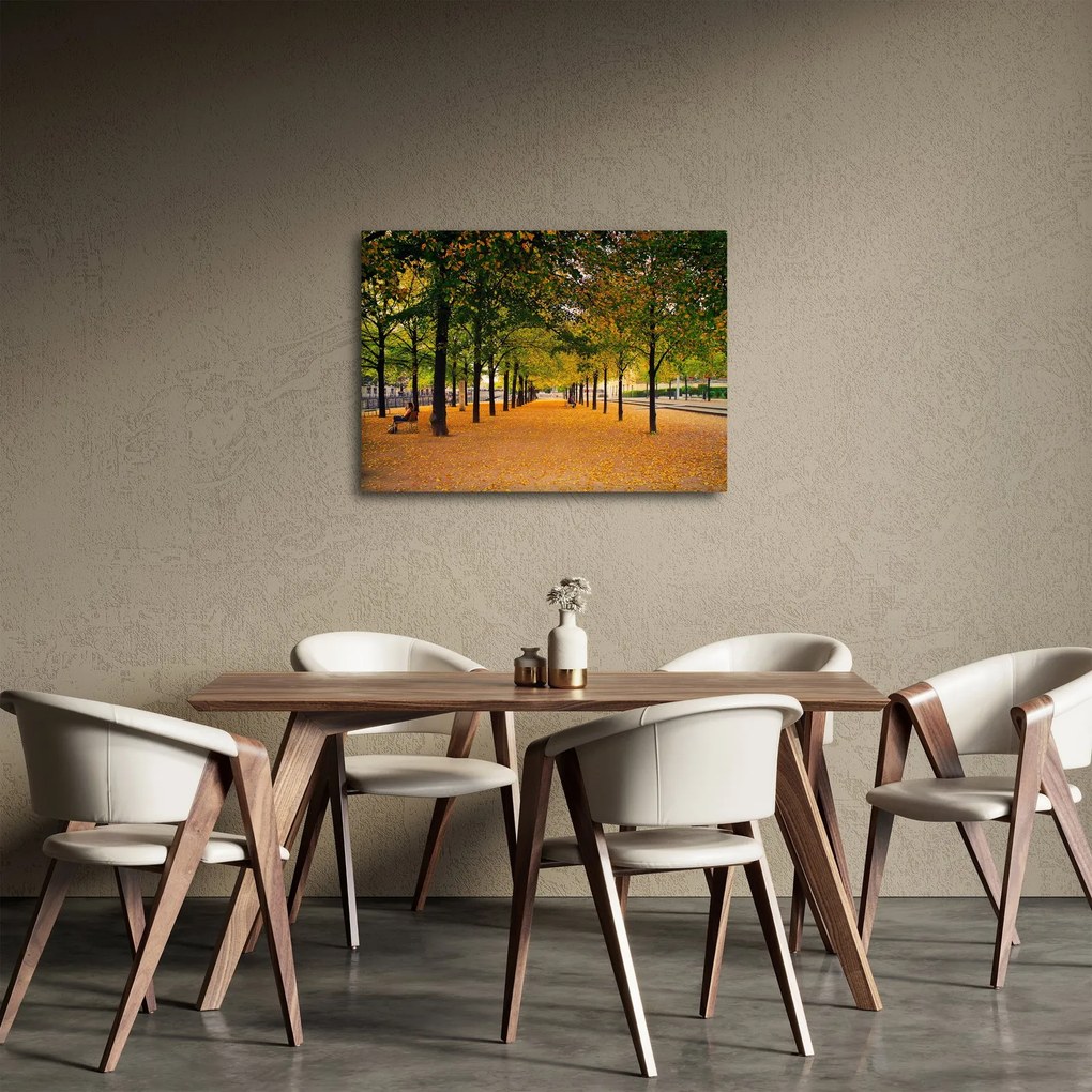Egy kép az őszi fák sikátorából (70x50 cm)